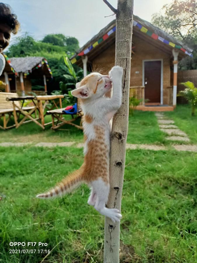 Island Vibes Hampi Guesthouse ภายนอก รูปภาพ